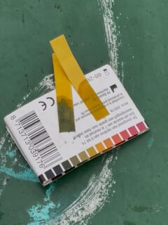 Twee pH-strips, één met basische waarde, één met neutrale waarde